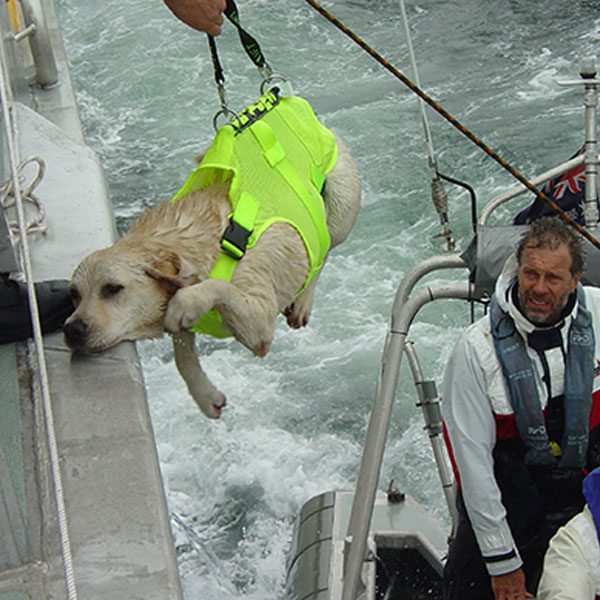3-SOS-Marine-Dog-Harness-boarding-vessel